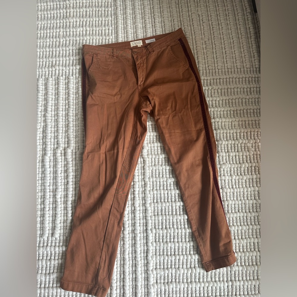Dark Khaki Anthropologie w/ maroon velvet stripe size 31